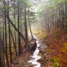 Charlie's Bunion Hike | Trail Reviews Great Smoky Mountains