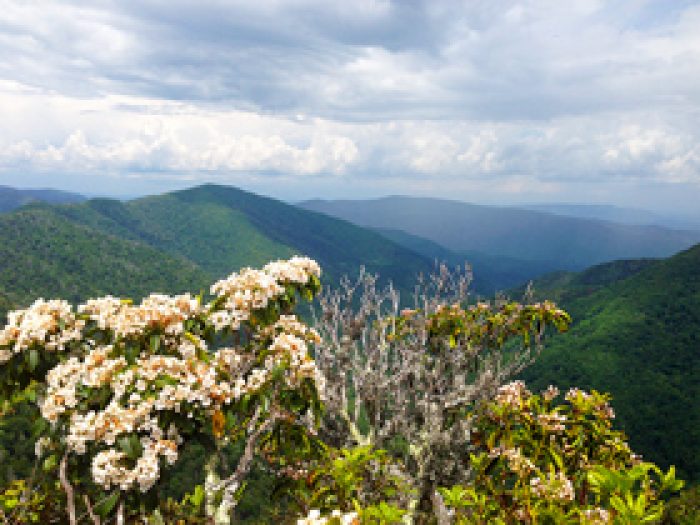 Where To Find Gatlinburg Cabins Near The National Park