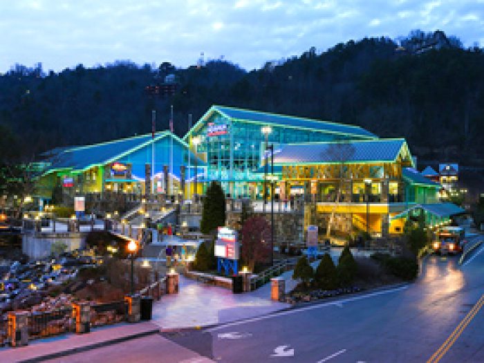 Best Cabin Resorts Near Ripley's Aquarium In Gatlinburg