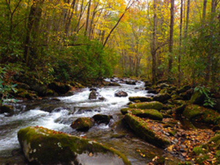 Gatlinburg In October 2015 Guide | Cabins Usa Gatlinburg