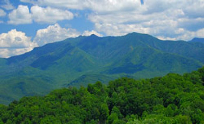 Best Cheap Things To Do In Gatlinburg, Tn