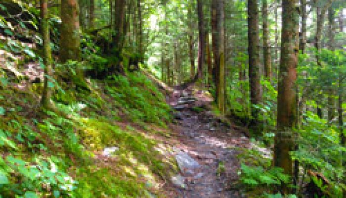 Top 5 Family Hikes In Gatlinburg | Cabins Usa Gatlinburg