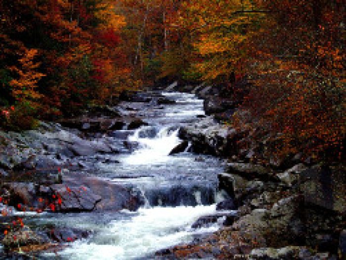 Discover The Best Time To See Smoky Mountain Fall Colors In Gatlinburg