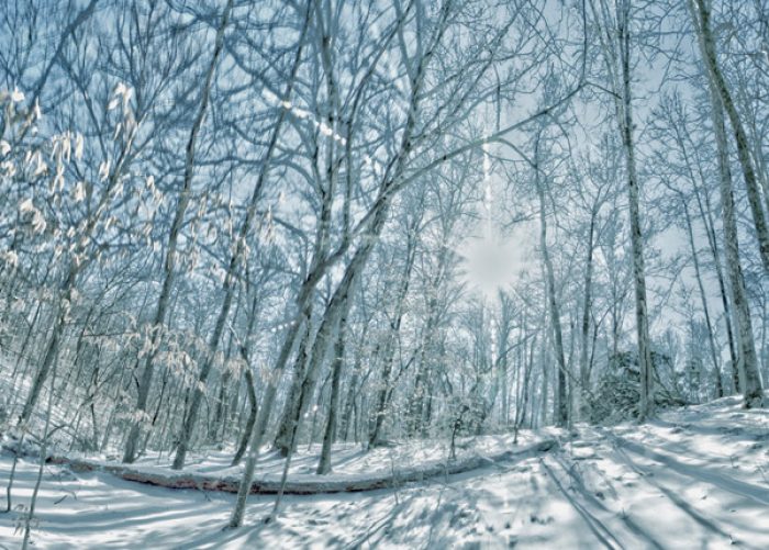 Pros And Cons Of Winter Hiking In The Smokies