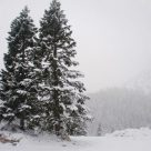5 Impressive Facts About Winter In The Smoky Mountains 