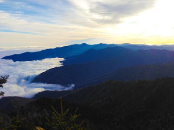 Why Vacation In Tennessee In The Smoky Mountains?