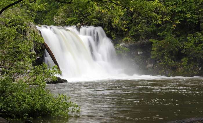 Abrams Falls Waterfall Hike