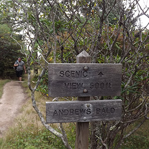 View at Andrews Bald