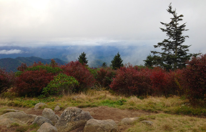 View From Andrews Bald