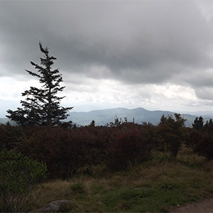 Views From Hiking Trails Near Clingmans Dome