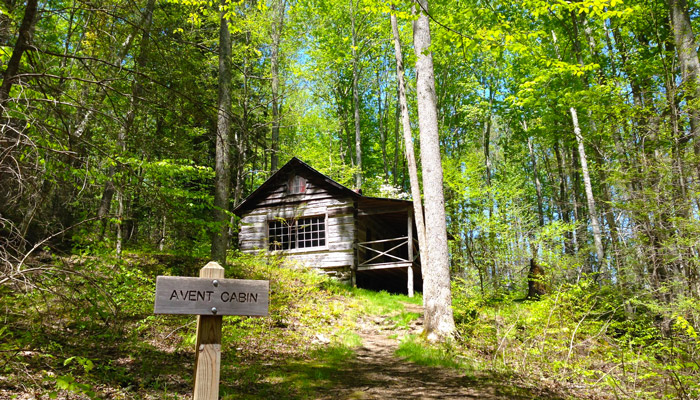 Avent Cabin Near Elkmont