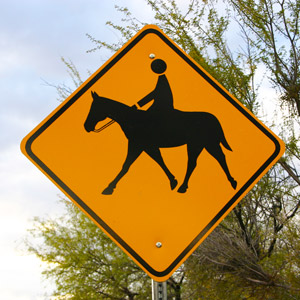 Horseback Rides in Cades Cove