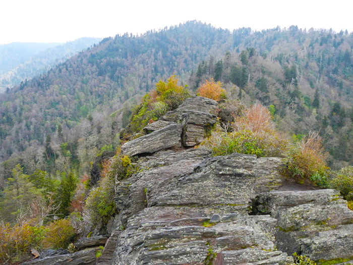 Peak Chimney Tops Hike in the Great Smoky Mountains