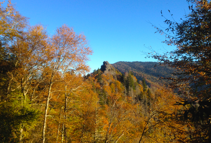 View From Chimney Tops Overlook in Fall