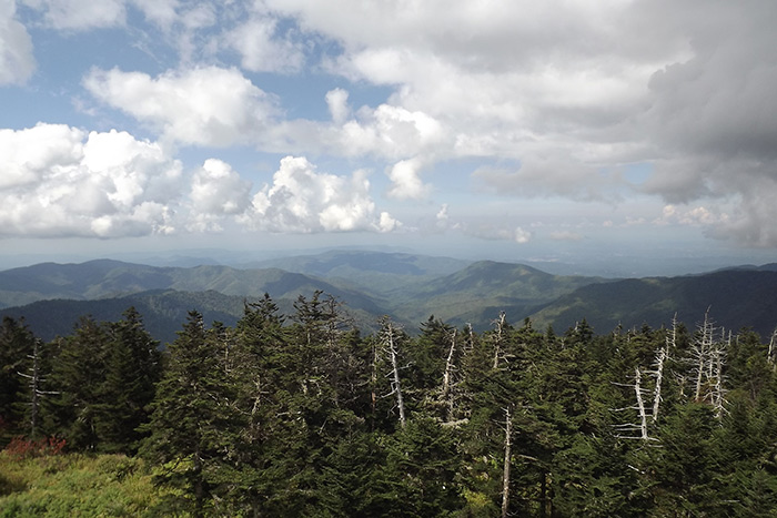 Clingmans Dome View