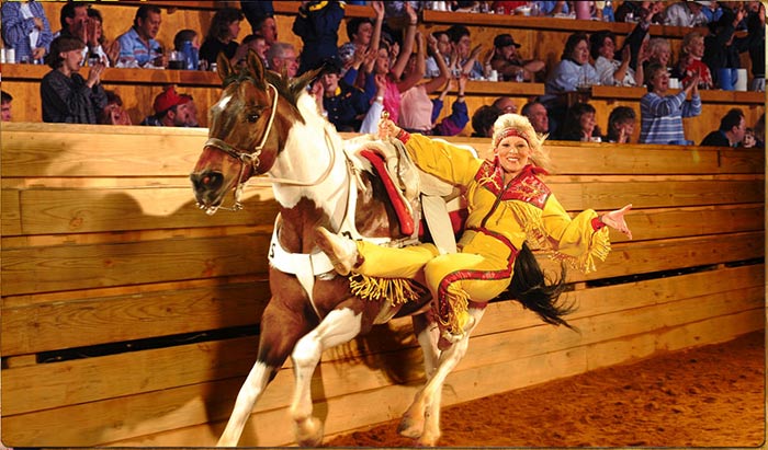 Dolly Parton Dixie Stampede