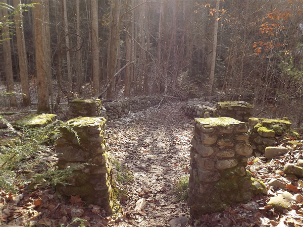 Historic Home in Elkmont