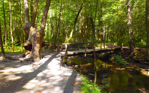 Trail Bridge on Fighting Creek Nature Trail