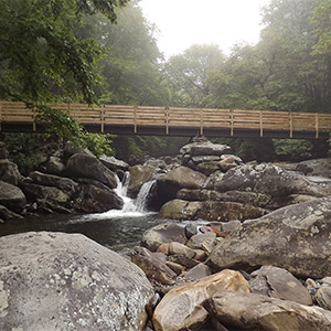 High Elevation Section of the West Prong of the Little Pigeon River