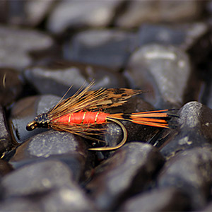 Fishing in Gatlinburg