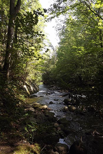 Smoky Mountain Fishing