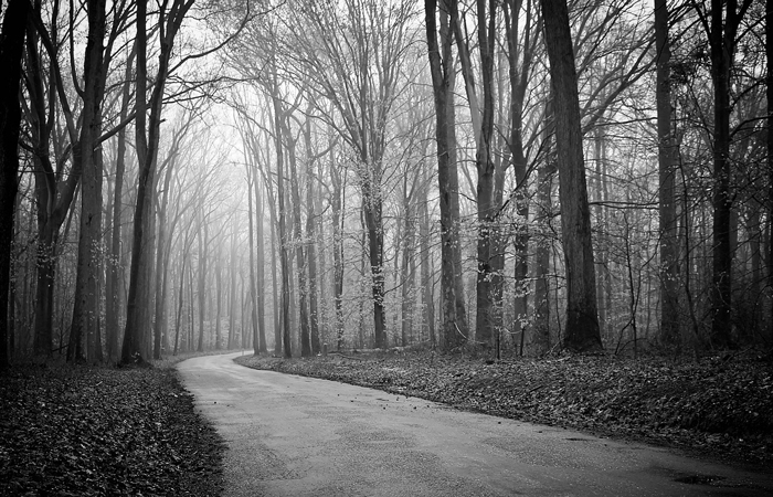 Foggy Mountain Road