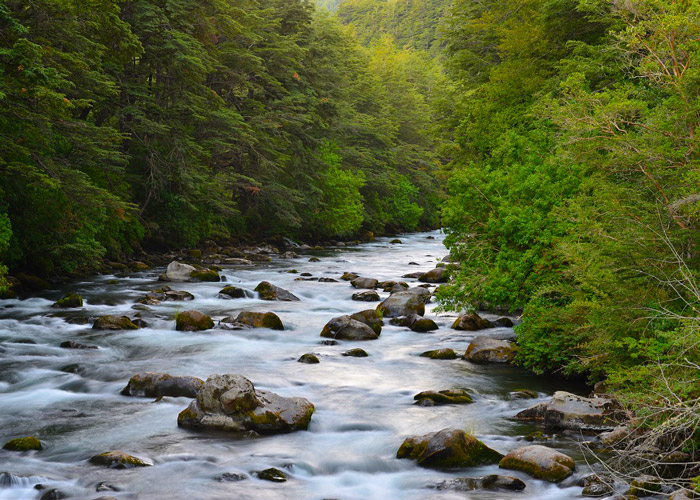 The River in Greenbrier Great Smoky Mountains