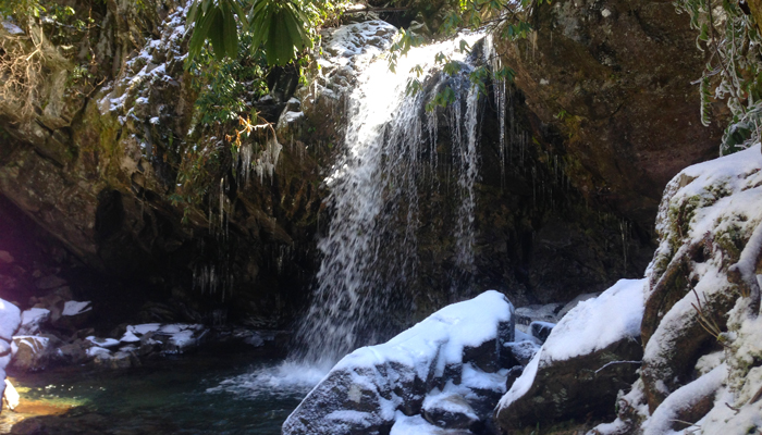 Grotto Falls Short Trail in the Smokies