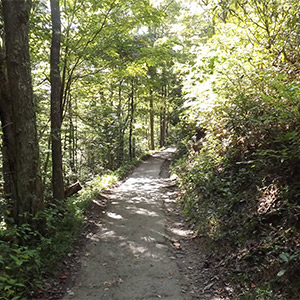 Hiking Trails Near Gatlinburg, TN