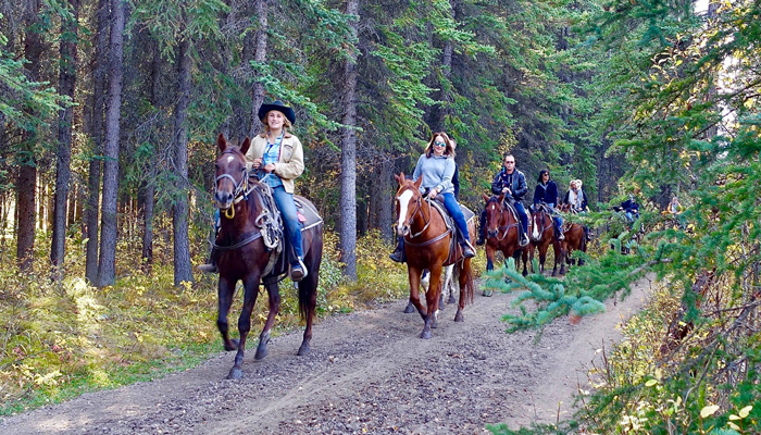 Horseback Riding in the mountains