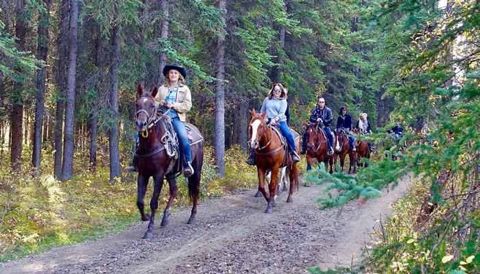 gatlinburg mountains horseback riding couples things guided rides