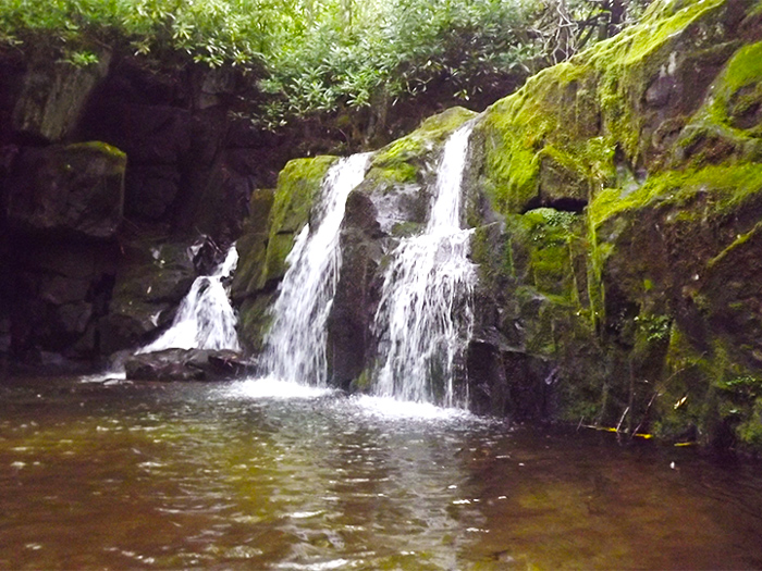 Indian Flats Falls on the Midlle Prong Trail