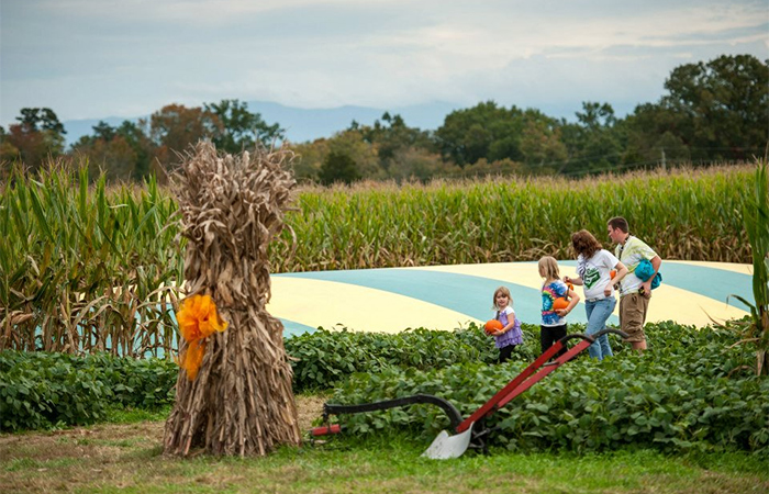 Best Country Fairs & Fall Festivals 2018 - What To Do