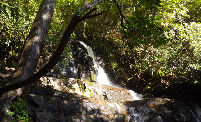 View of Laurel Falls in the Smoky Mountains