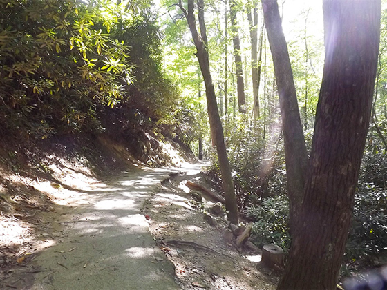 Laurel Falls Trail Great Smoky Mountains