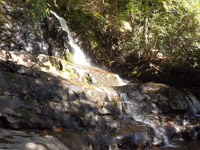 Waterfall on Laurel Falls Trail