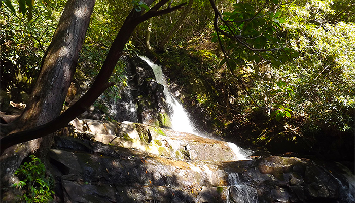 Laurel Falls Smoky Mountains