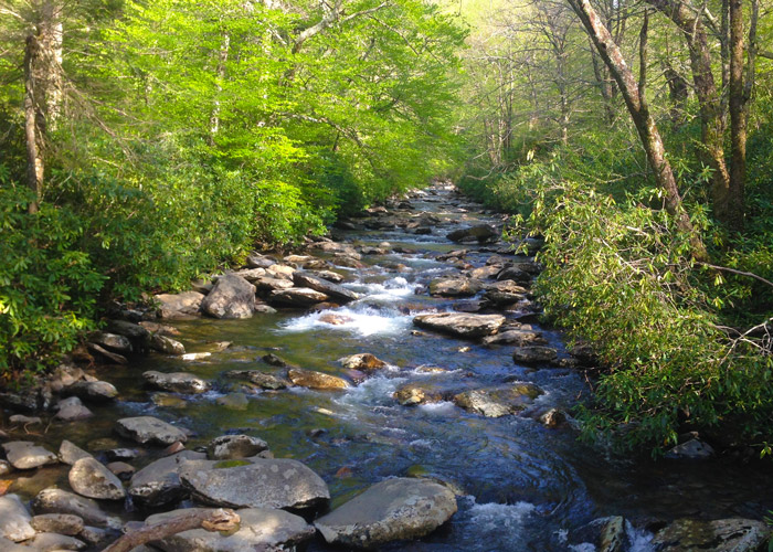 Alum Cave Swimming Hole