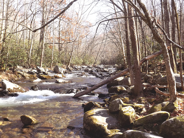 Little River in Elkmont