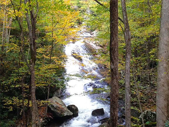 Lynn Camp Falls on the Middle Prong Trail