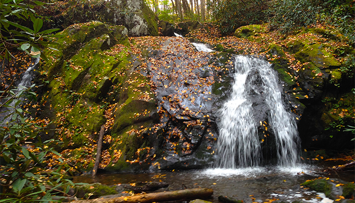 Meigs Creek Short Hike in the Smokies