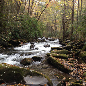 West Prong of the Little Pigeon River