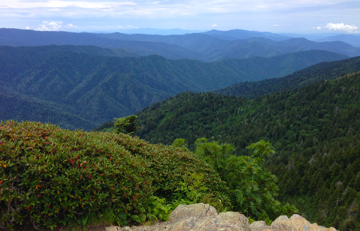 View From Cliff Tops on Mt LeConte