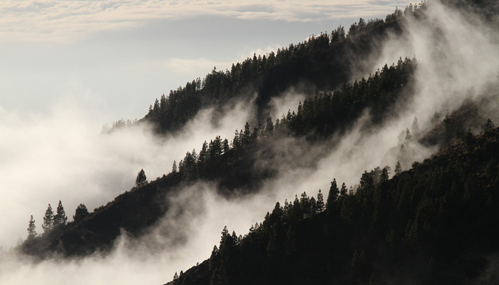 Ghost Stories in the Smokies