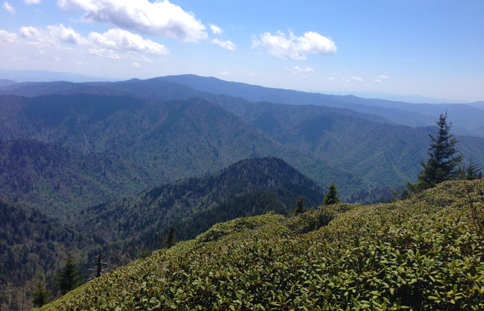 View From Myrtle Point