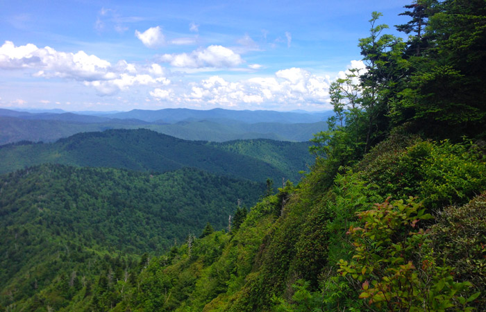 View From The Jump Off, Great Smoky Mountains National Park