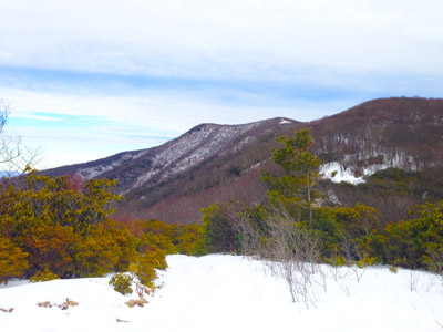 Rocky Top and Thunderhead