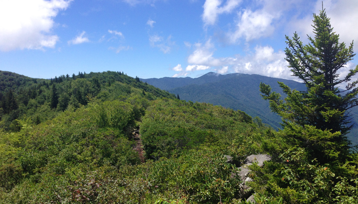 Hiking in the Smoky Mountains