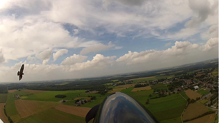 Smoky Mountain Airplane Rides