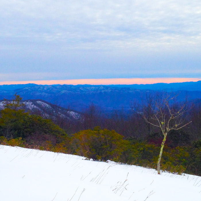 Spence Field in the Great Smoky Mountains National Park